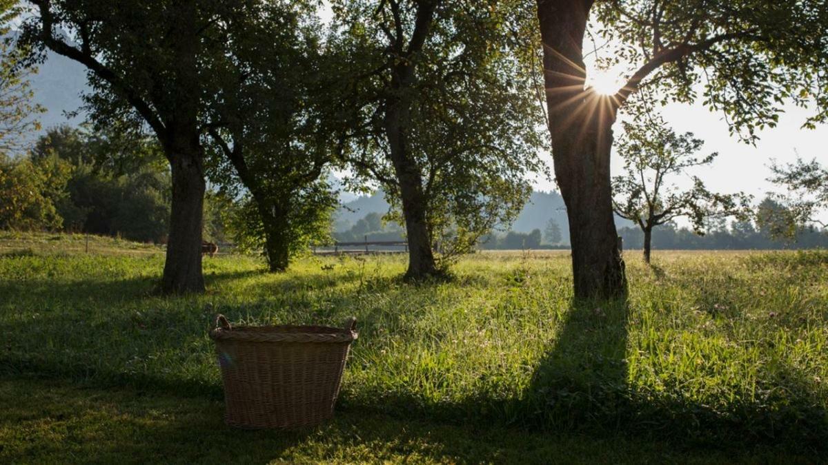 Bauernhof Lindenhof Scheffau am Wilden Kaiser Exterior foto